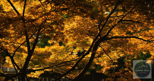 October Travel Packing List for Women: What to Wear This Fall