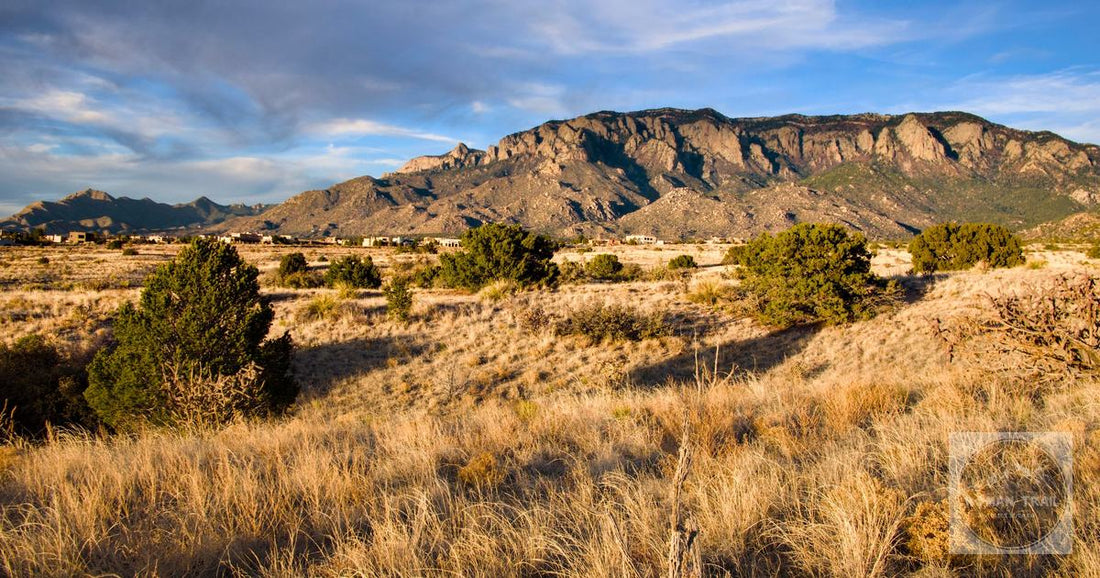 Beautiful view of Sandia Mountains in Albuquerque, New Mexico at sunset with lush desert foreground.