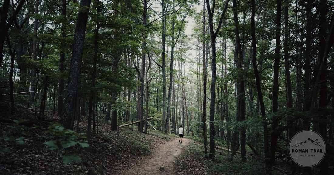 A forest footpath through tall trees near Suches in north Georgia