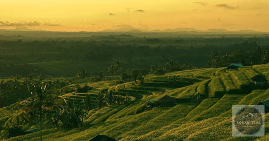 Golden hour view of terraced rice fields in Bali Indonesia, featured image for a Bali packing list for women