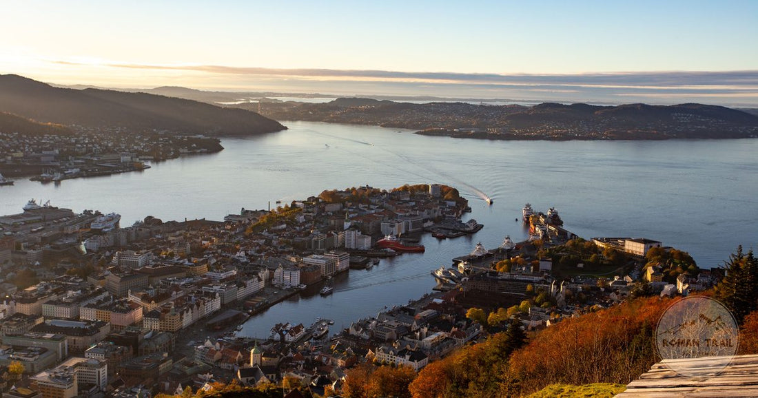 Aerial view of Bergen harbour in evening light, Norway
