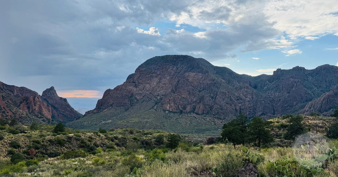 Mountains and desert vegetation at sunset in Big Bend National Park, Texas