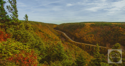 Vibrant fall foliage along a winding road in Cape Breton, Nova Scotia, Canada.