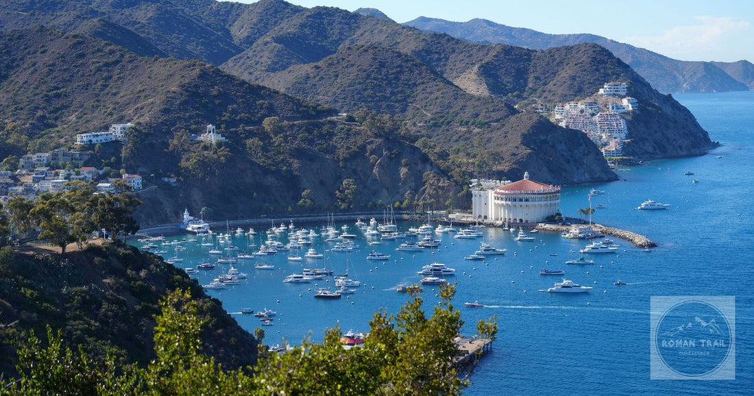 Aerial view of Avalon Bay's boats and Catalina Casino on California's Catalina Island.