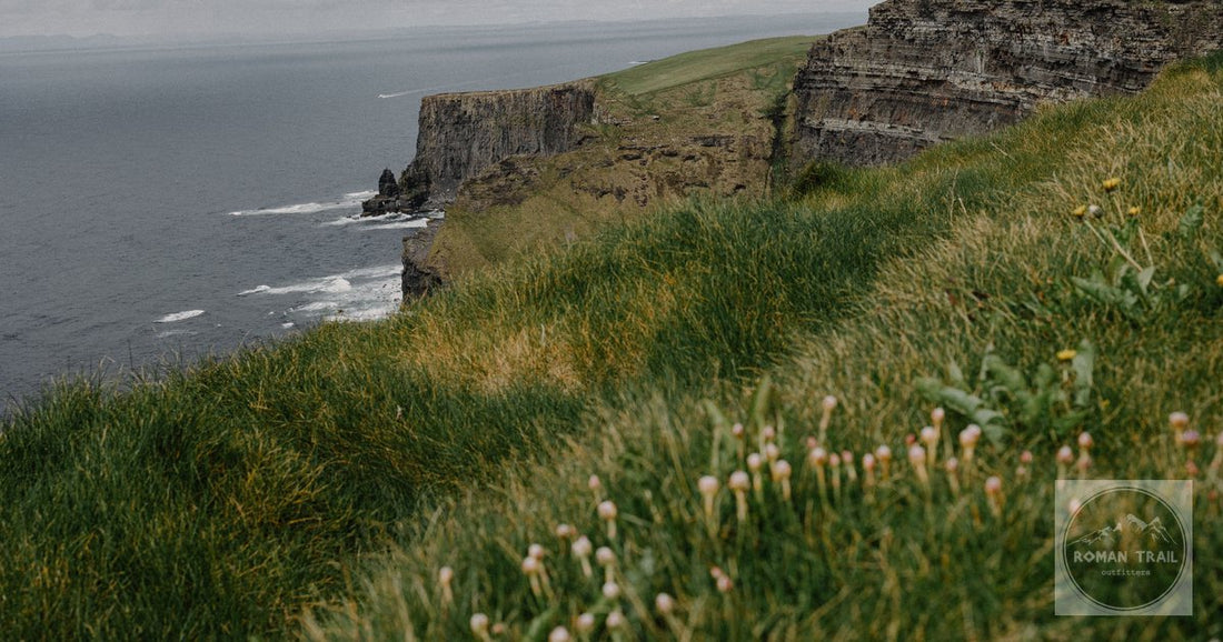 The Cliffs of Moher in County Clare with grass and wildflowers on the clifftop