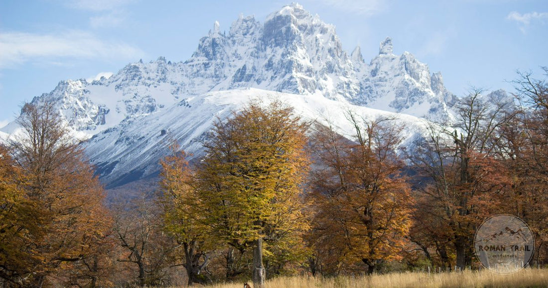 A horse below a snow covered peak with autumn trees at Coyhaique, Chile