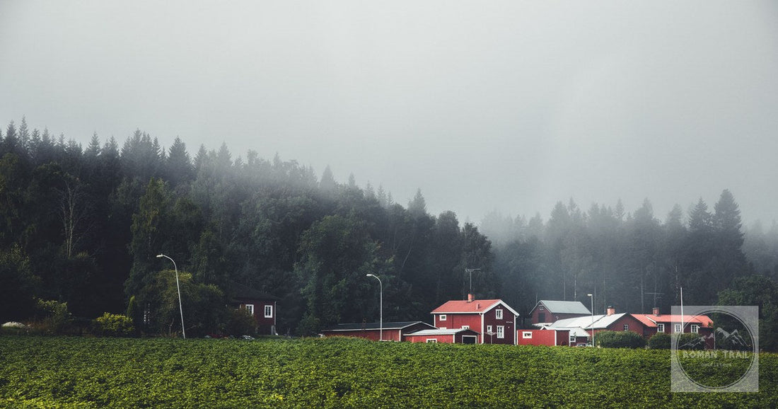 Red houses in a misty morning landscape in Dalarna, Sweden