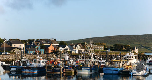 Fishing boats and colourful houses at Dingle harbour, Ireland