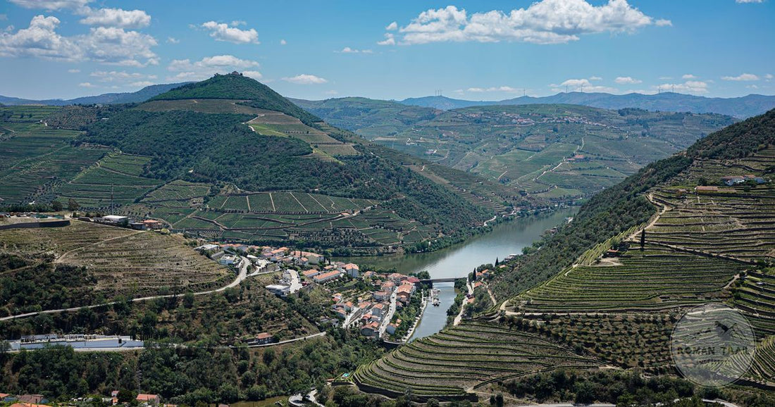 Vineyards and the river in the Douro Valley, Portugal