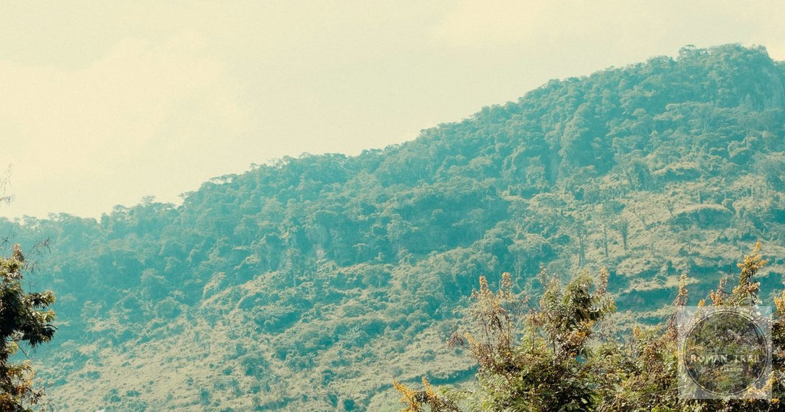 Misty forested mountains in Ghana's Volta Region at dusk