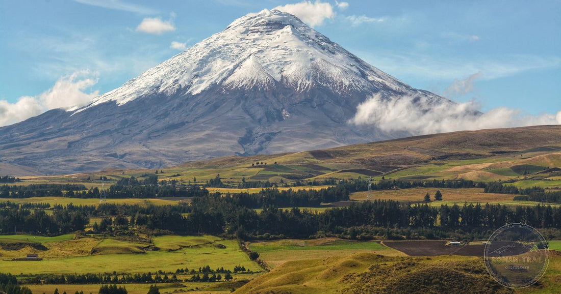 Snow-capped Cotopaxi volcano rising above the Andean highland grasslands, Ecuador