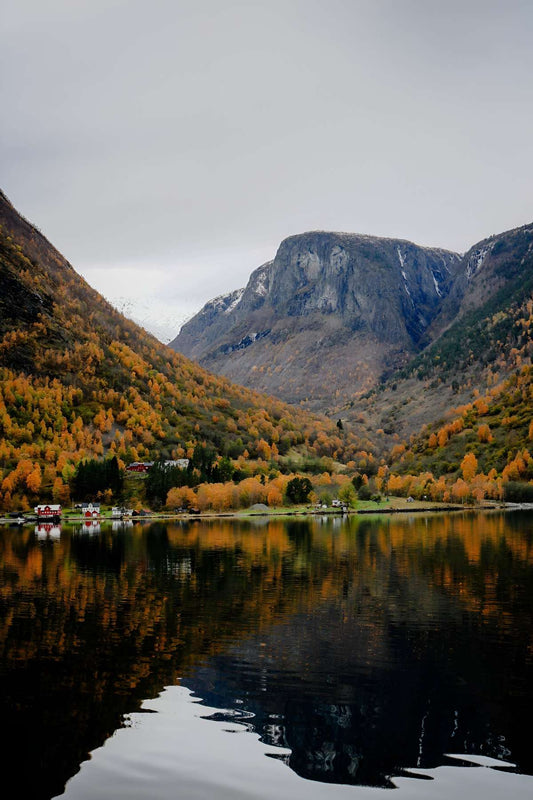Norwegian fjord in autumn colour with early snow on the peaks.