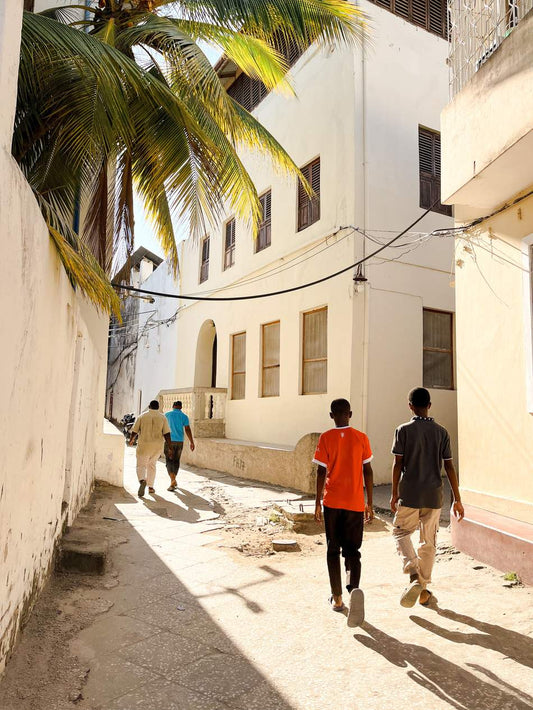 Narrow alley in Stone Town, Zanzibar, with a palm tree and locals walking