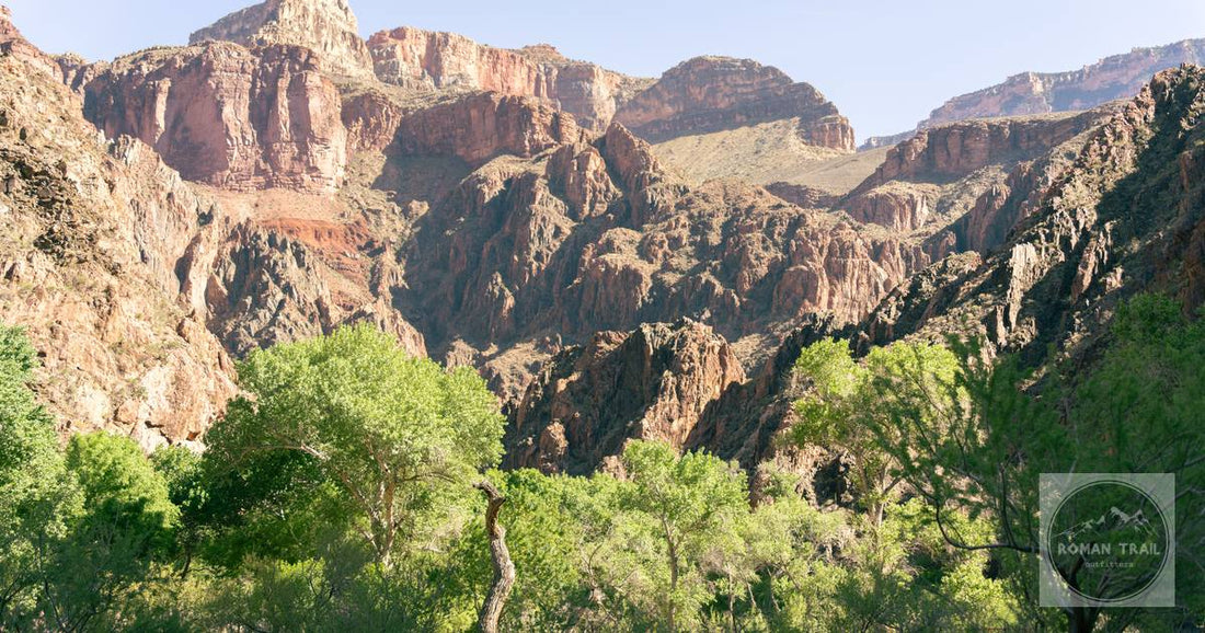The Grand Canyon from the North Rim, Arizona