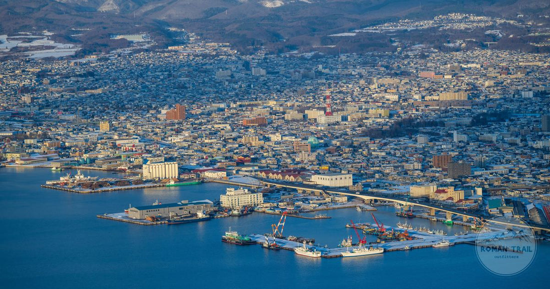 Aerial view of the Hakodate cityscape and port in winter, Hokkaido, Japan