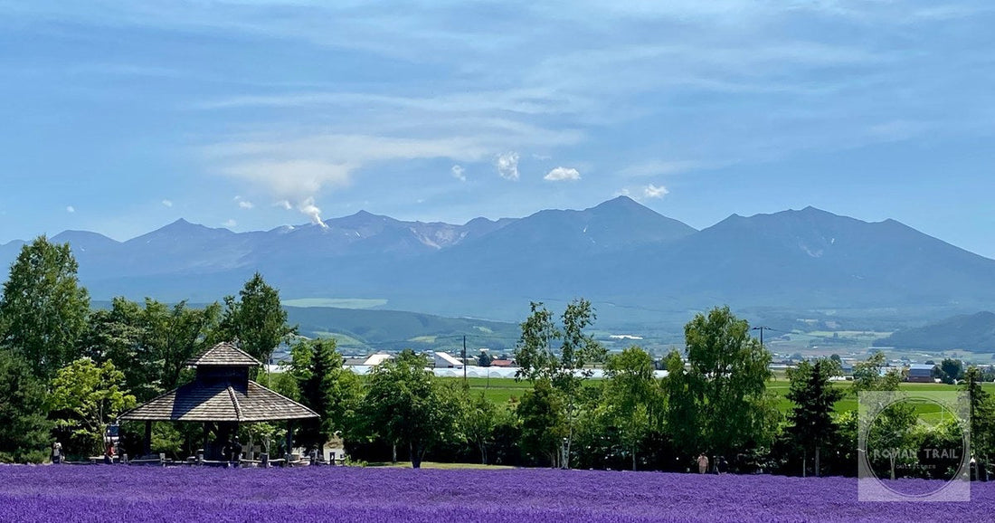 Lavender fields at Farm Tomita in Nakafurano, Hokkaido, with mountains behind
