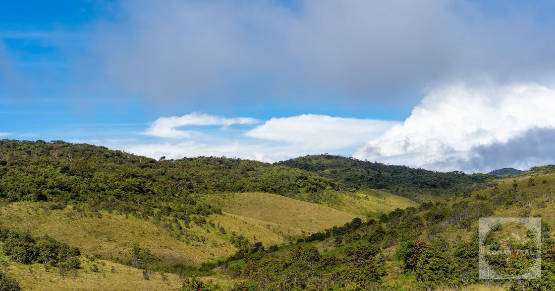 Rolling hills and cloud in Horton Plains National Park, Sri Lanka