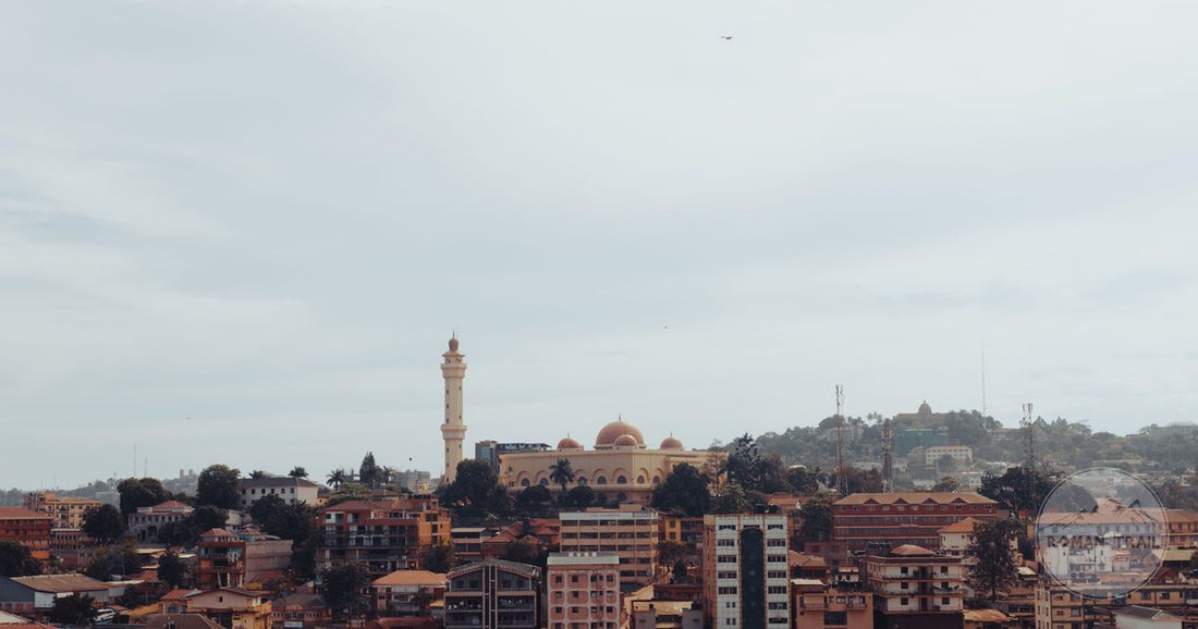 Aerial view of Kampala with a mosque and the surrounding city, Uganda