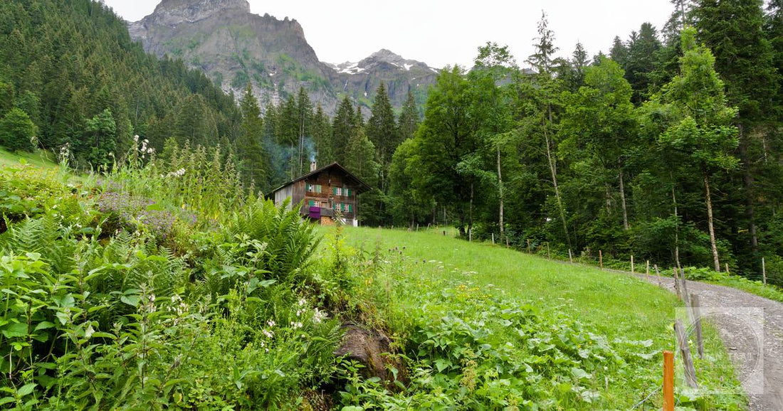 A traditional Swiss chalet in the green valley at Kandersteg, Bern, Switzerland