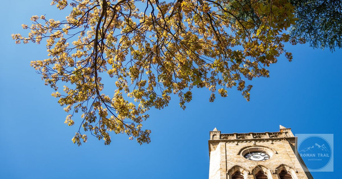 View of St. Patrick's Church tower and tree branches under a clear blue sky in Kasauli, India.