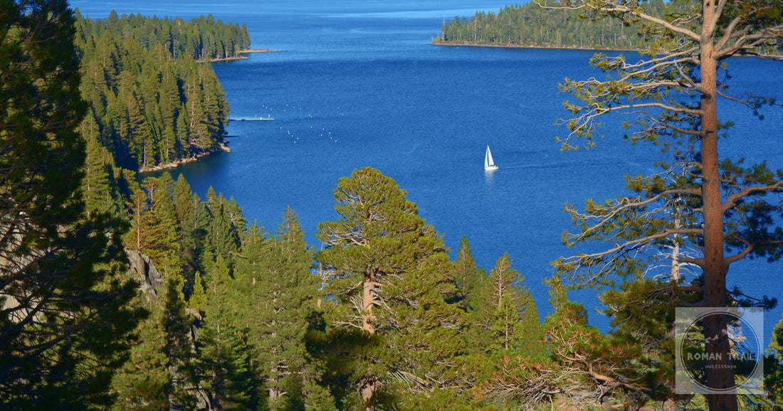 An overlook above Lake Tahoe with pines and a sailboat