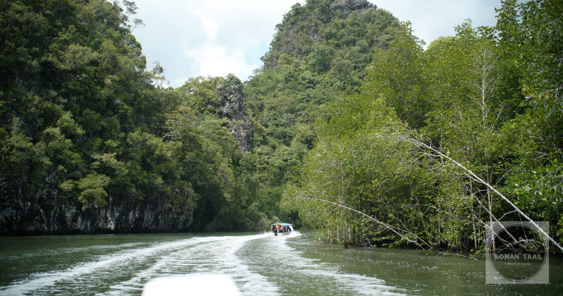 A boat on a mangrove-lined river at Langkawi, Malaysia