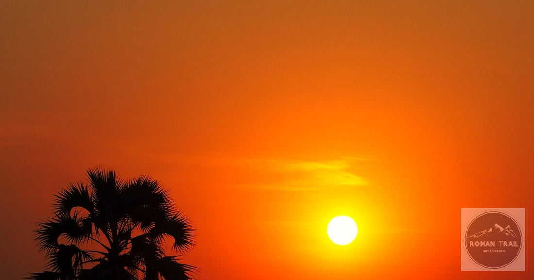 Lake Malawi sunset with palm tree silhouette at golden hour
