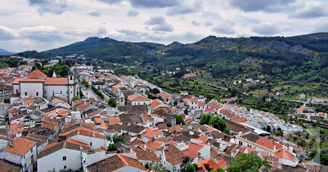 Aerial view of Marvão's charming white houses and red roofs against a mountainous backdrop in Portugal.