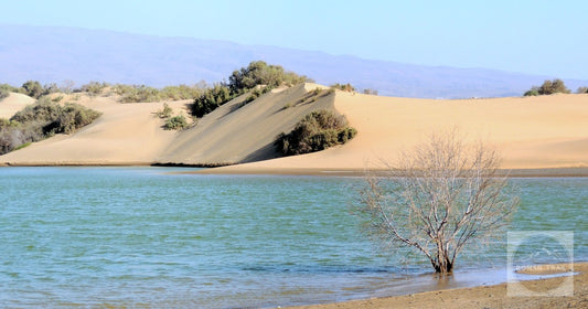 The Maspalomas dunes meeting the Charca lagoon, Gran Canaria