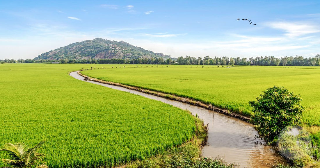 Rice fields and a winding canal below the mountains at Chau Doc, Vietnam