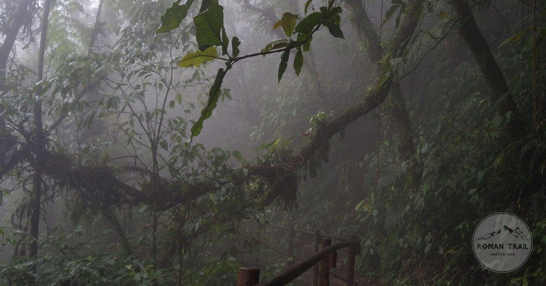 A misty path through dense cloud forest in Costa Rica, Monteverde packing list for women by Roman Trail Outfitters
