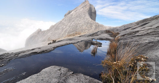 Mount Kinabalu reflected in standing water in Sabah, Malaysia