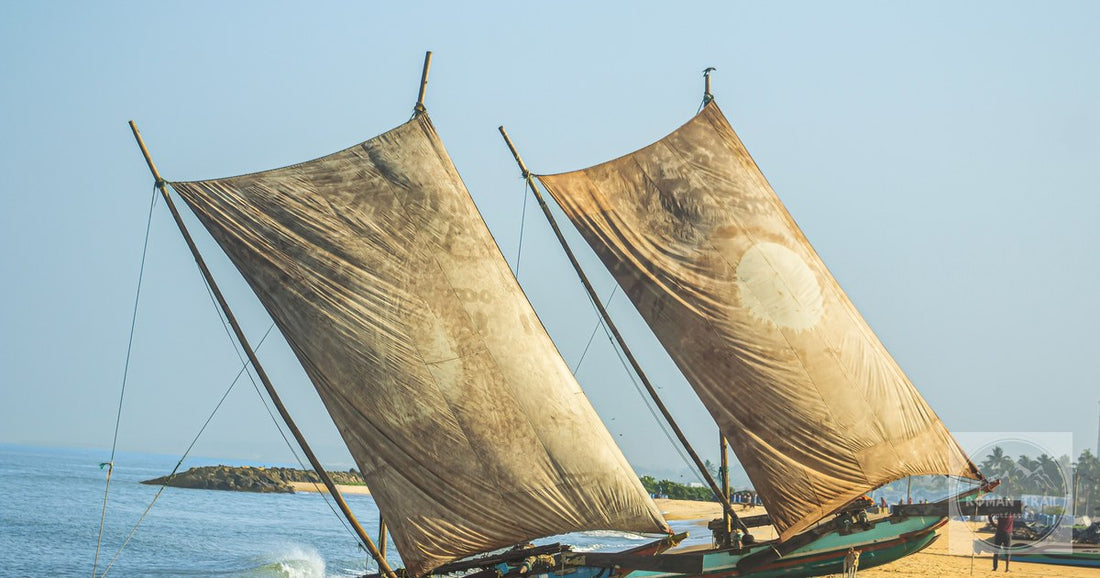 Traditional oruwa fishing boats with large sails on the beach at Negombo, Sri Lanka