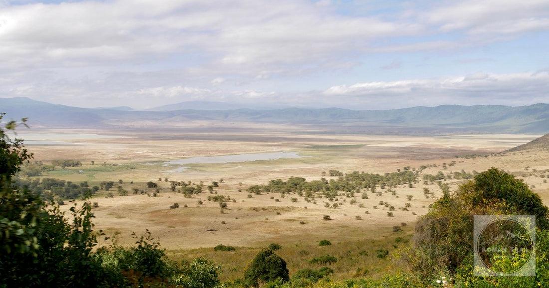 A panoramic view across the Ngorongoro Crater in Tanzania