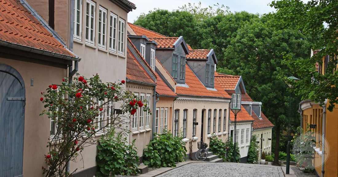 Colourful houses lining a cobblestone street in Odense, Denmark