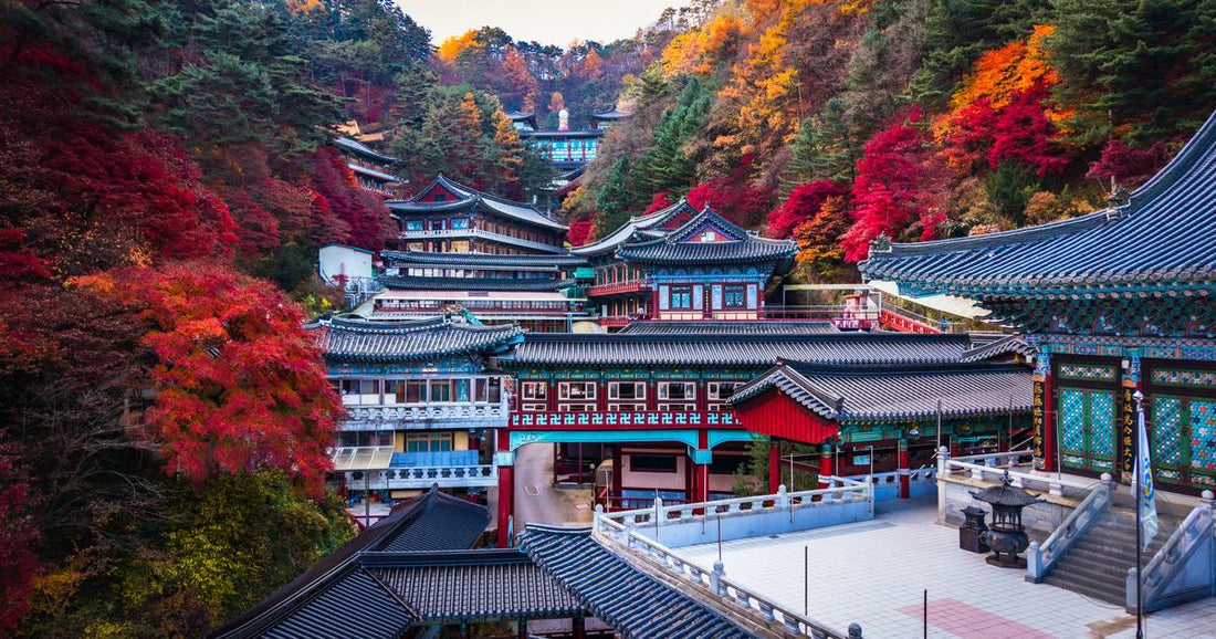 Traditional Korean mountain temple surrounded by vivid red and orange autumn foliage, women's South Korea packing list by Roman Trail Outfitters