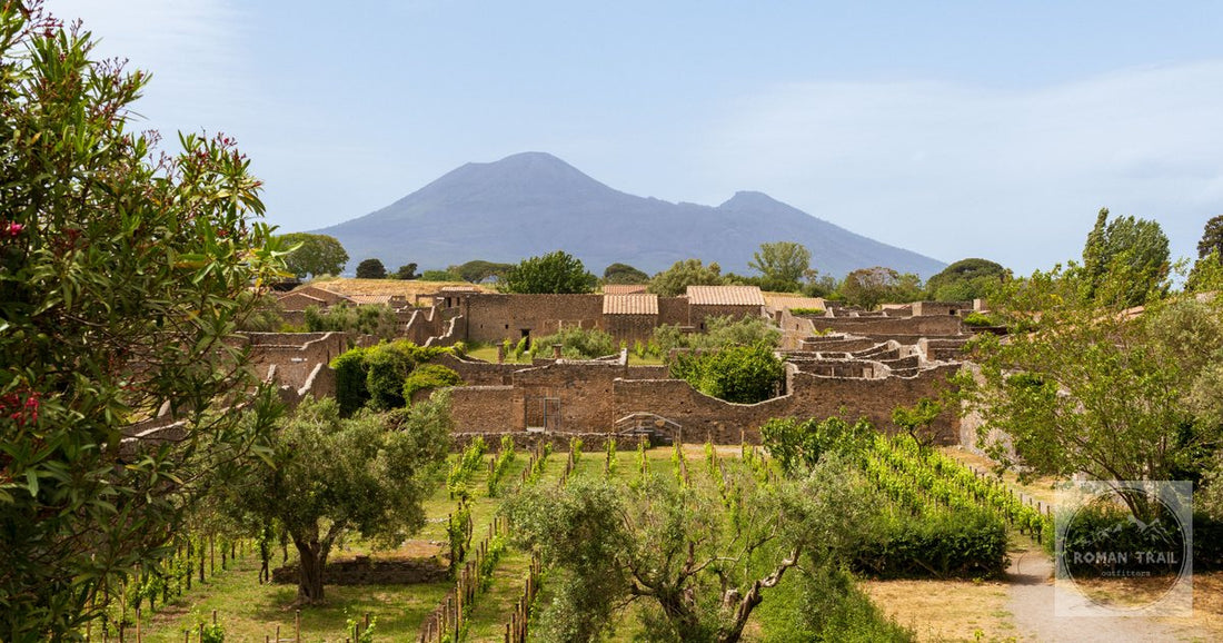 The ruins of Pompeii with Mount Vesuvius beyond, Italy