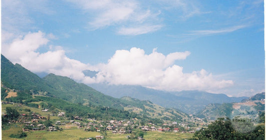 Terraced rice fields and a village in the Sapa valley, northwest Vietnam