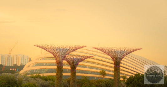 Golden hour view of the Supertree Grove at Gardens by the Bay in Singapore, featured image for a Singapore packing list for women