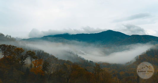 Mist over the Smoky Mountains and autumn forest near Gatlinburg, Tennessee