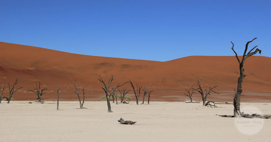 Dead trees and red dunes at Sossusvlei, Namibia