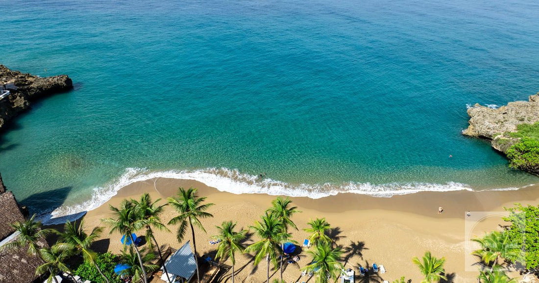 Sosua beach with palm trees, golden sand and turquoise water, Dominican Republic