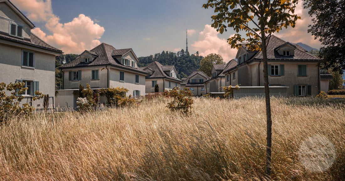 Houses in a residential quarter of Sankt Gallen surrounded by green, Switzerland
