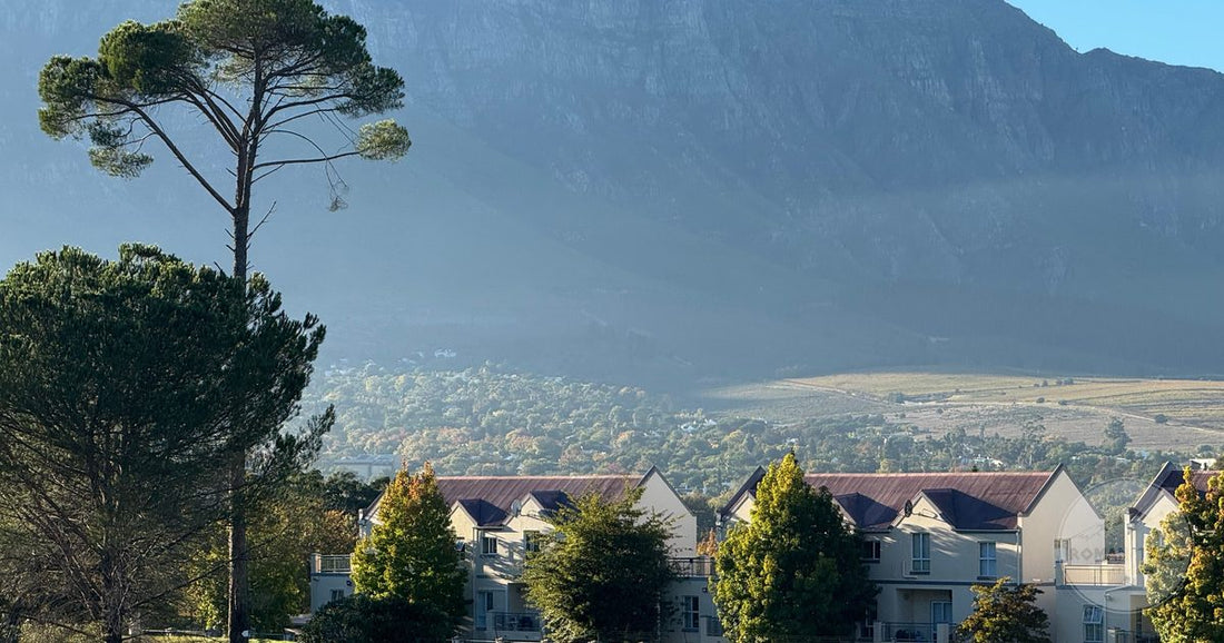 The Stellenbosch mountains above the town in the Cape winelands, South Africa