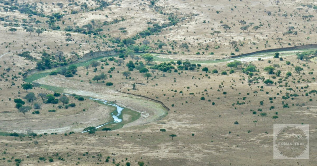 The meandering river through Tarangire National Park, Tanzania, from the air