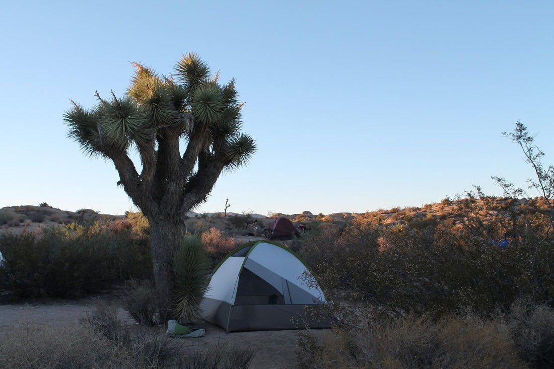 Tips for Camping in Hot, Dry Climates