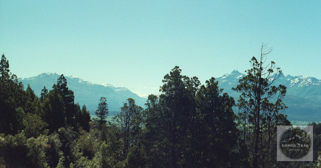 Green forest below the Andes at Trevelin, Chubut, Argentina