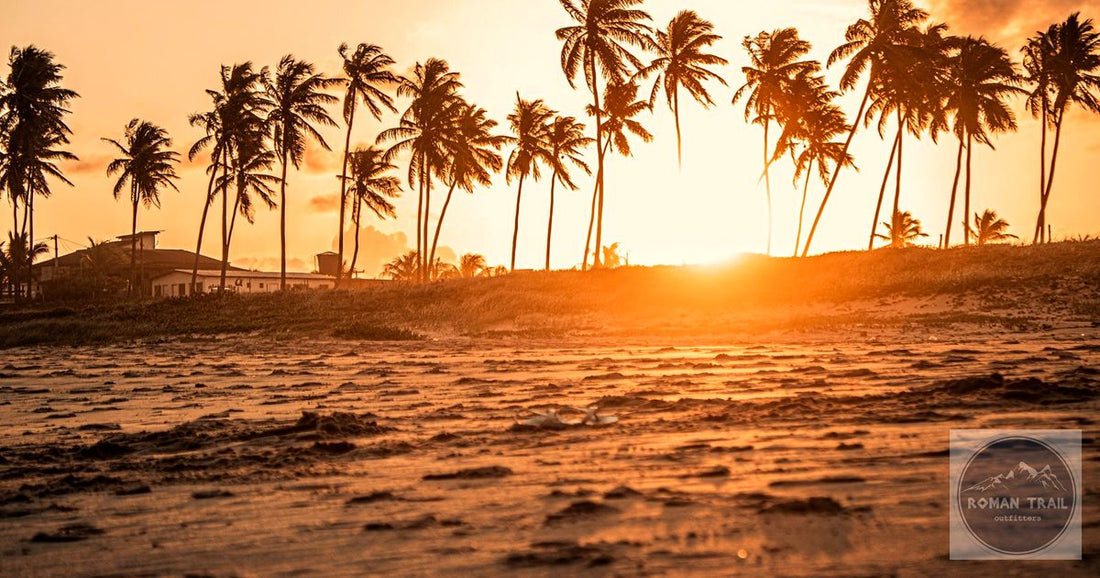 Palm trees silhouetted against golden tropical sunset beach, tropical travel packing list for women by Roman Trail Outfitters