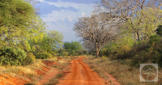 A red dirt road through Tsavo National Park, Kenya