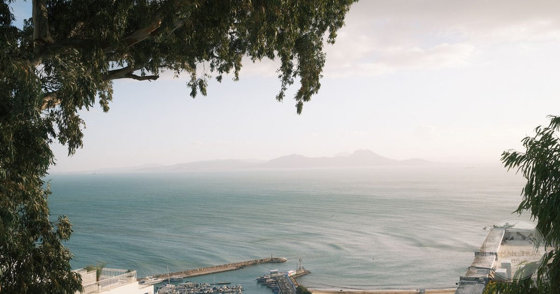 Sidi Bou Said marina above the Mediterranean near Tunis, Tunisia